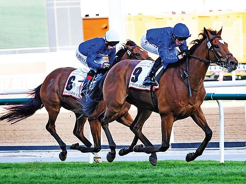 Cross Counter, ridden by William Buick, edges out stablemate Ispolini for Dubai Gold Cup at Meydan on Saturday.