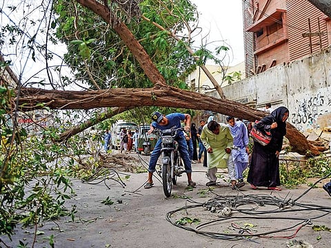 People cross a street under a falling tree following an overnight heavy wind storm in Karachi.