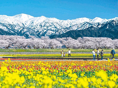 April brings an enriched sense of positivity, depicting new beginnings.