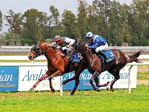 Bayan (Sylvian Ruis) beat Jadeeja in the opening race, the Premio Taajer UAE Embassy on Sunday.