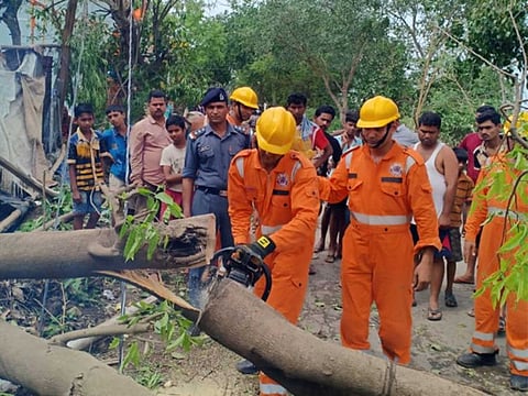 National Disaster Response Force crew help clear felled trees to make roads passable after Cyclone Fani hit Kendrapara, Orissa.