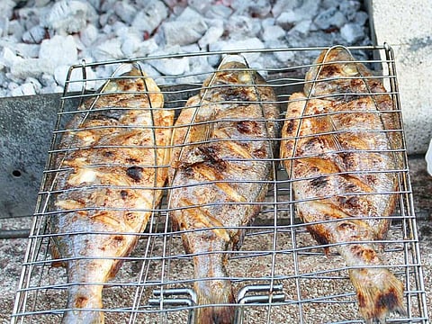 The Abu Dhabi Food and Safety Authority closed down to a fish kiosk for violating the emirate’s health and safety code.