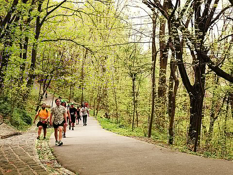 Inwood Hill Park, near Mile 15 of the Great Saunter, an all-day walk around the perimeter of Manhattan.