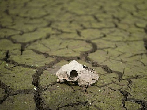 The dried up bed of Wayoh Reservoir near Bolton as the heatwave continues across the U.K.