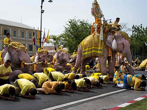 Elephants under the command of their mahouts bow with well-wishers during a procession near the Grand Palace to pay their respects to Thailand's King Maha Vajiralongkorn in Bangkok on May 7, 2019.