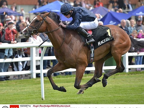 Hugh Routledge/REX/Shutterstock