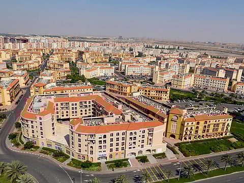 According to data, International City ranked first in the list of sites that obtained local licensing transactions with 203 licenses.