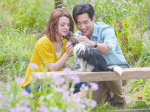 How ‘A Dog’s Journey’ got a sequel, thanks to China