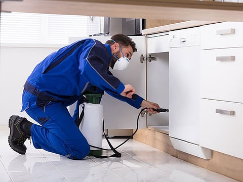 A man spraying pesticide inside a wooden cabinet.