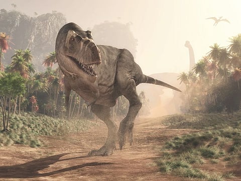 Getty Images/iStockphoto