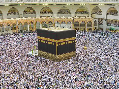 Around 1.8 million pilgrims, including 1.6 million from abroad, performed the Hajj rites in and around Mecca last year.