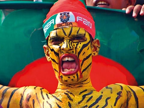 Shoyab Ali, a car mechanic, known at grounds worldwide for his distinctive tiger body and face paint, has injured himself, paid a bribe and spent his life savings to pursue his passion for the game.
