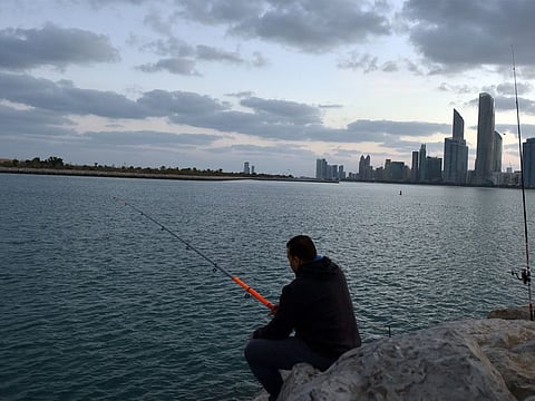 Picture is for illustrative purposes only