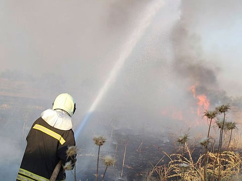Syrian White Helmet civil defense workers trying to extinguish a fire in a field of crops, in Kfar Ain, the northwestern province of Idlib