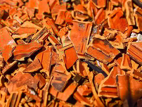 Photo for illustrative purposes