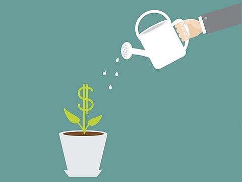 The agritech companies are finding fertile conditions in the UAE, with investments chasing the best technology these entities can offer.