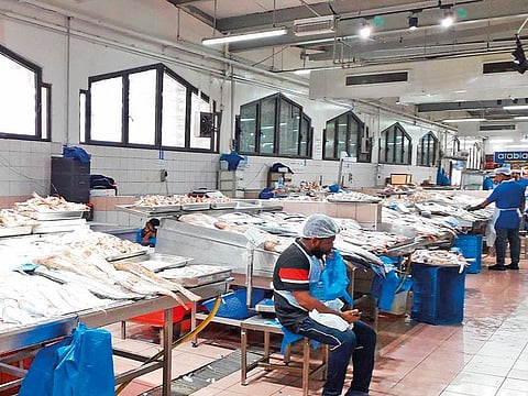 Traders at the Abu Dhabi fish market in Mina Zayed