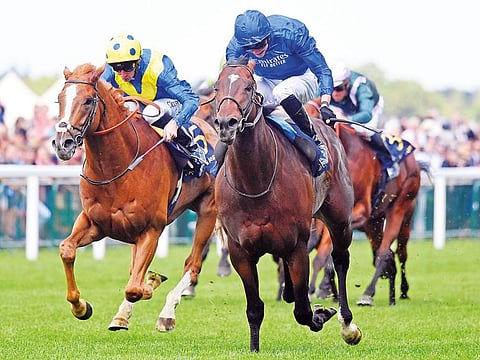 The historic Royal Ascot meeting, the showpiece event in Britain's flat racing calendar, may be held without spectators this year.