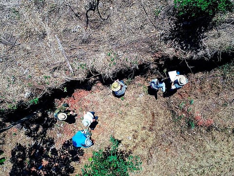 Paleontologists working at the site where fossilised bones of a dinosaur were found in Maringa, Parana state, Brazil