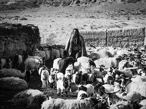 A scene from Pema Tseden's film “Tharlo,” about a shepherd from an isolated town who is told that he must register for a government-issued identity card.