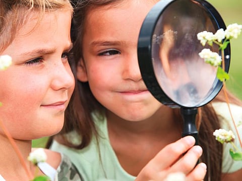 Consider your child's interests when picking a summer camp - there is something for everyone.