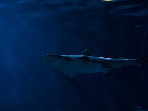 For illustrative purposes only