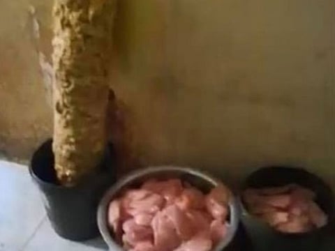 Khor Fakkan Municipality shut down a restaurant due to unhygienic practices.