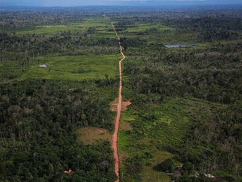 Cutting down trees at the current rate in the Amazon could lead to runaway deforestation, environmentalists say