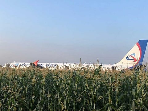 Ural Airlines Airbus A321 was forced to make an emergency landing in a corn field after hitting a flock of seagulls outside Moscow's Zhukovsky airport.