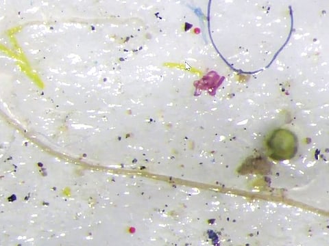 An image from ice core samples containing tiny plastic fragments collected by researchers in the vicinity of the hamlet of Resolute, in Canada.