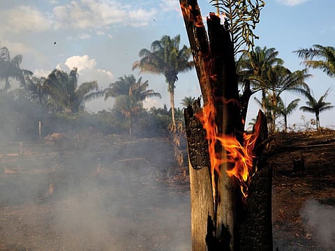 A tract of Amazon jungle is seen burning as it is being cleared by loggers and farmers in Iranduba,
