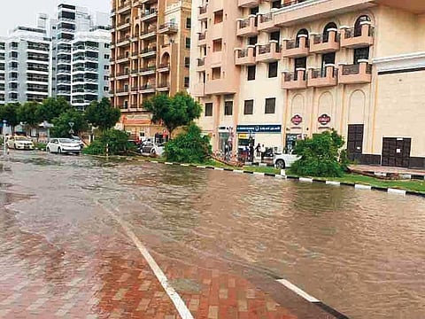 Some trees fell down due to strong wind and rain at Silicon Oasis