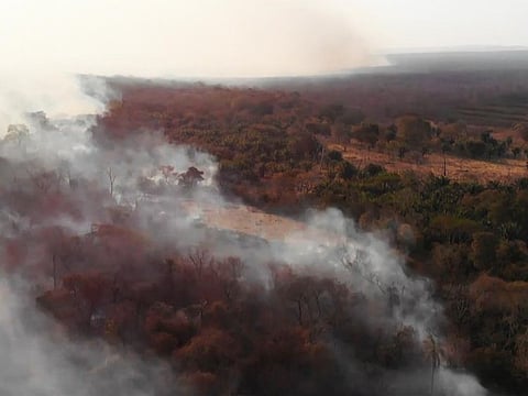 This TV grab shows wildfire near Robore, Santa Cruz region, eastern Bolivia on August 21, 2019 Up to now, wildfires in Bolivia have devastated about 745,000 hectares of forests and pasturelands.