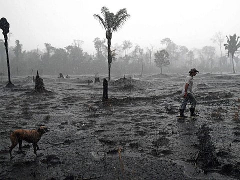 Brazilian farmer Helio Lombardo Do Santos and a dog walk through a burnt area of the Amazon rainforest, near Porto Velho, Rondonia state, Brazil, on August 26, 2019
