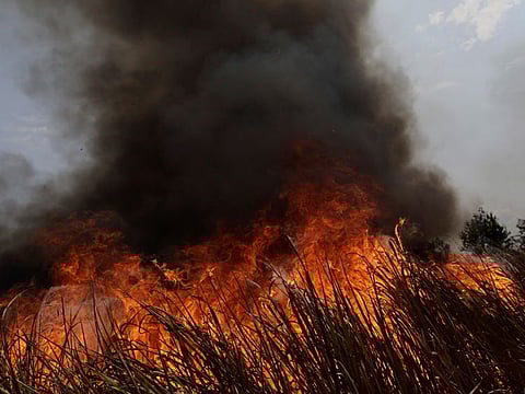 A tract of the Amazon jungle burns as it is cleared by loggers and farmers in Porto Velho, Brazil August 27, 2019. REUTERS/Ueslei Marcelino