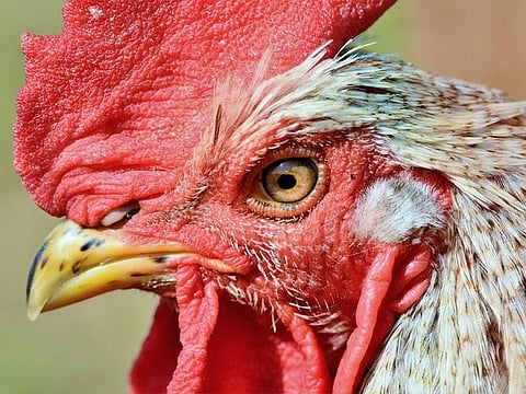 (File photo used for illustrative purposes only)