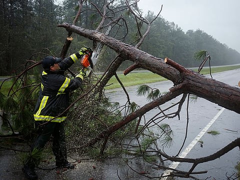 A firefighter uses a chainsaw to remove a fallen tree from Route 17 highway in McClellanville, South Carolina, U.S., on Thursday, Sept. 5, 2019.