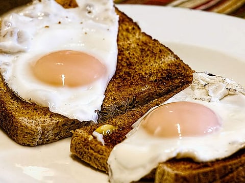 Fried eggs on toasts.