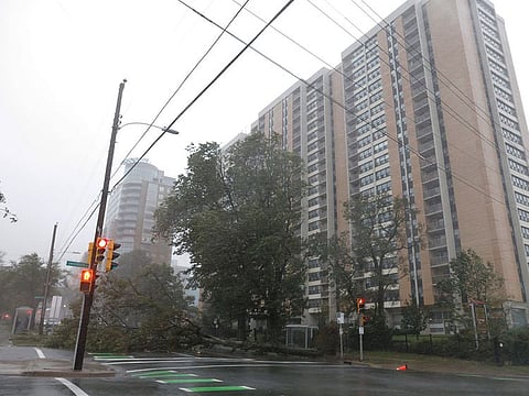 A tree lays along Robie Street in front of an apartment during the arrival of Hurricane Dorian in Halifax, Nova Scotia, Canada September 7, 2019.