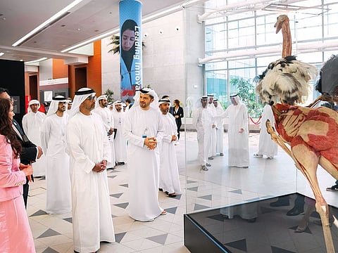 Sheikh Hamed Bin Zayed tours the Body Worlds exhibition after opening it at Khalifa University. The German exhibition displays dissected and preserved human and animal bodies.