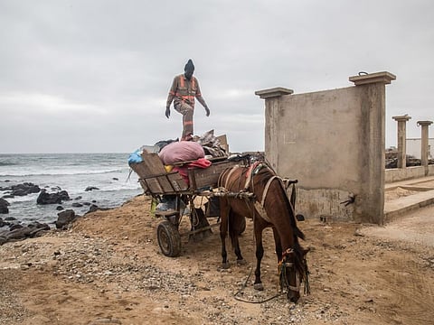 Wague Diouf and his horse, Toyota, drive through neighborhoods picking up trash in Dakar, Senegal, Aug. 14, 2019. The city’s horse-drawn buggies, long a staple means of getting around, are under an emerging threat from motorized rickshaws — city officials see the carts as a vestige of a poorer country, incompatible with the modern highways in a capital that is booming economically. (Yagazie Emezi/The New York Times)