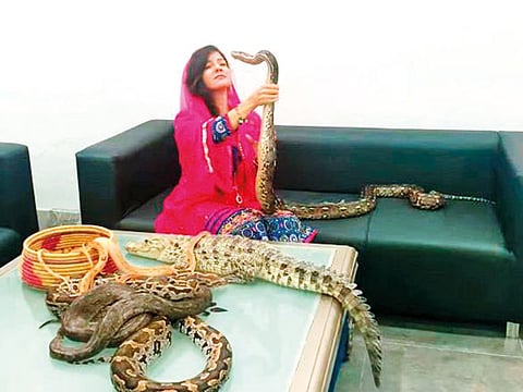 Rabi Pirzada landed herself in trouble after uploading a video and some pictures on social media, in which she is seen posing with snakes and cobras.