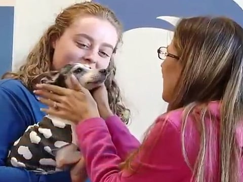 Katheryn Strang's reunion with her dog Dutchess was an emotional affair