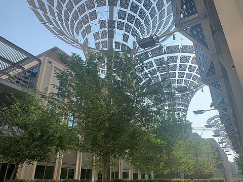 Expo 2020 site. District 2020, which oversees the Expo Dubai development and its future operations, will launch a support programme for startups through a partnership with Dubai SME and the Mohammed Bin Rashid Innovation Fund.