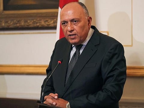 Egyptian Foreign Minister Sameh Shoukry.