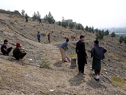 Photo for illustrative purposes only