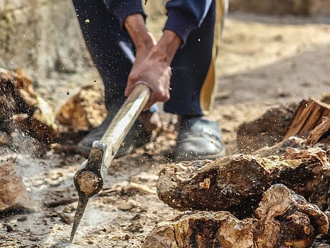 Picture used for illustrative purposes only