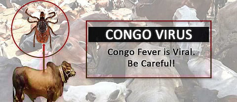 Health authorities in Karachi issue warning about Congo Virus
