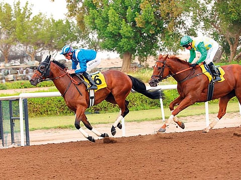 Tadbir makes all the running under Dane O’Neill to win the Shadwell Farm handicap at Jebel Ali Racecourse yesterday.