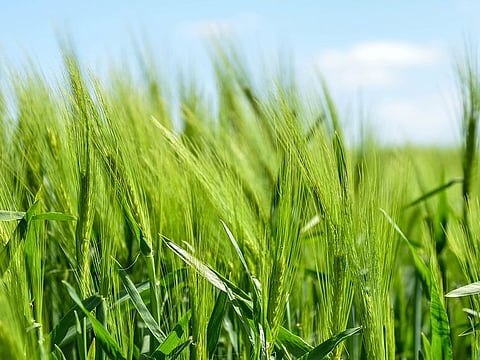 For illustrative purposes only.